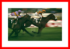 caballos.jpg (21568 bytes)